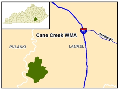 cane creek